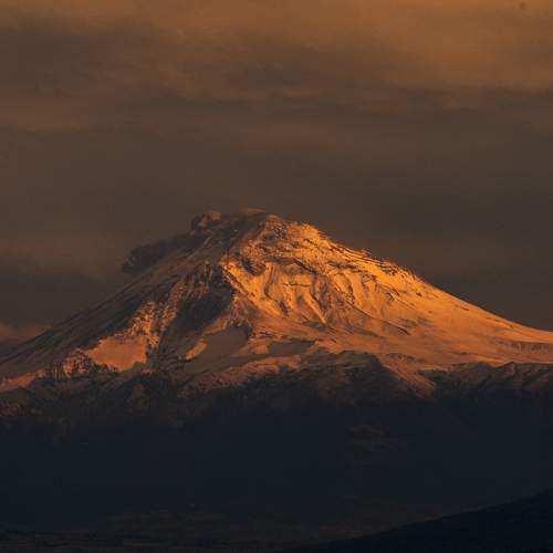 Photo #10534671