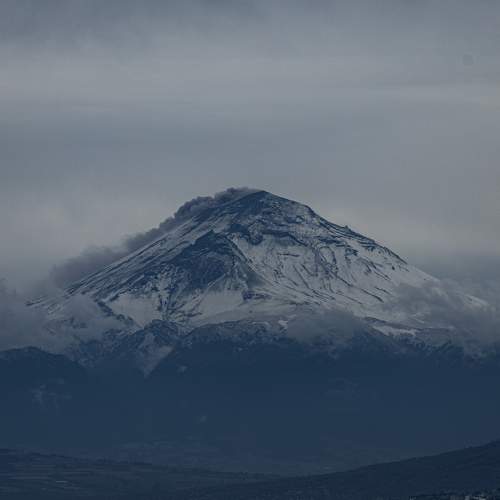 Photo #10534674