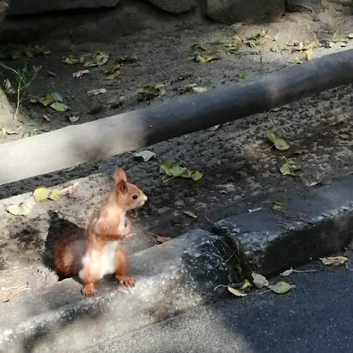 Photo #10535049