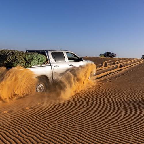 Photo #10535260
