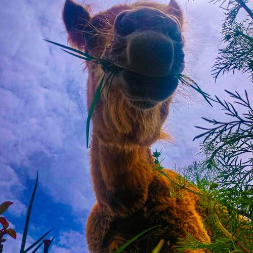 Photo #10535500