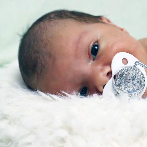 Photo #10535956