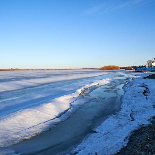 Photo #10535992