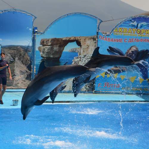 Photo #10536169