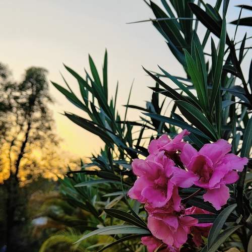 Photo #10536220