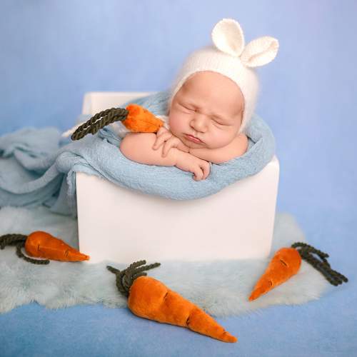 Photo #10536409