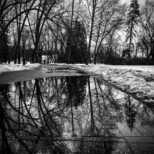 Фотография #10536744