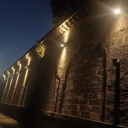 Photo #10537487