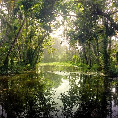 Photo #10537516