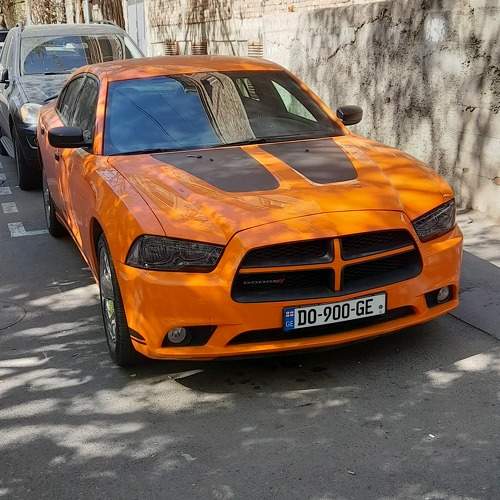 Photo #10537651