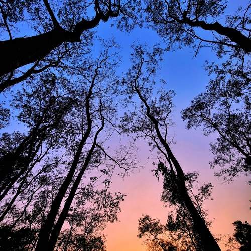 Photo #10537818