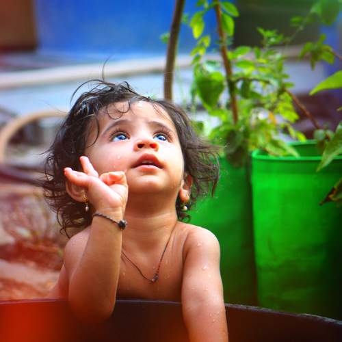 Photo #10537879
