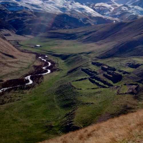 Photo #10538290