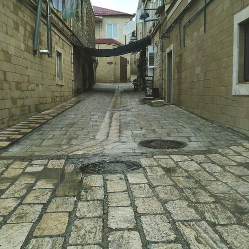 Photo #10538318