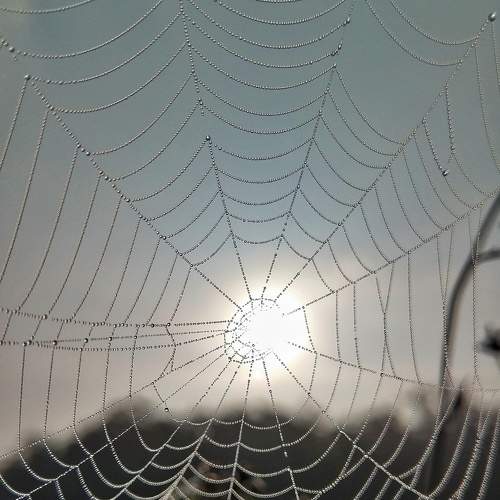 Photo #10538436