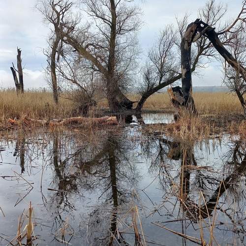 Photo #10538530