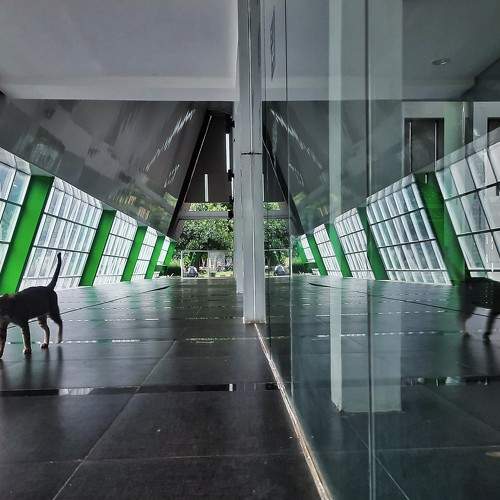 Symmetry