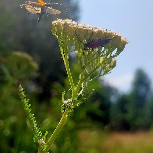 Photo #10539001