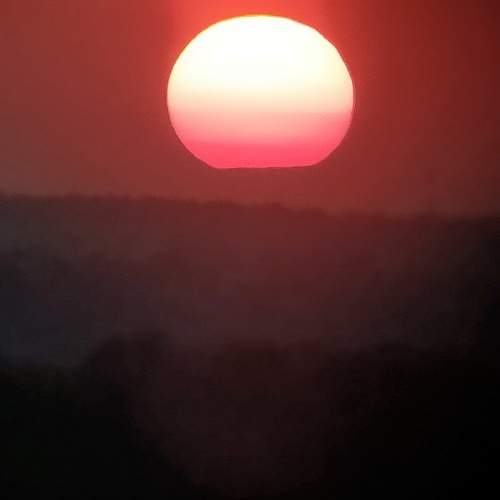 Photo #10539002