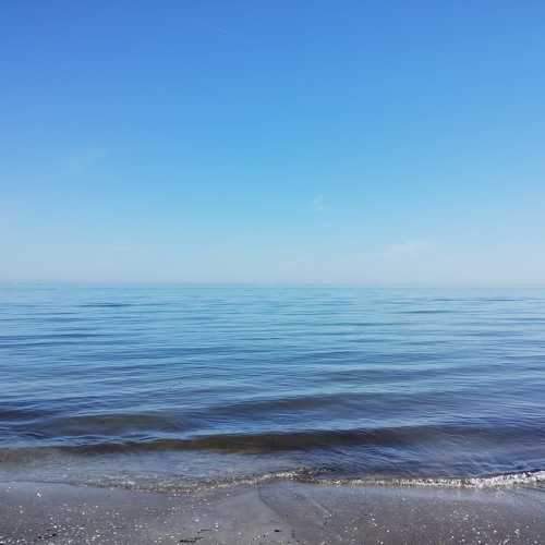 Photo #10539062