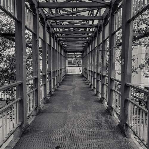 Photo #10539129