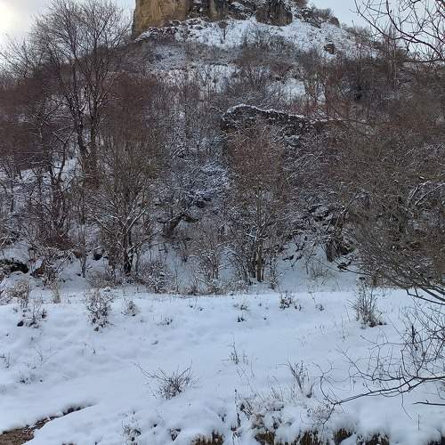 Photo #10539331