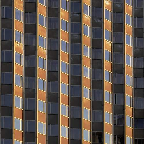 Photo #10539522