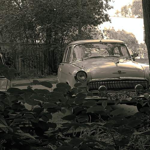 Photo #10539565