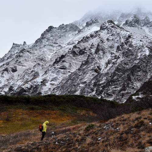 Photo #10539819