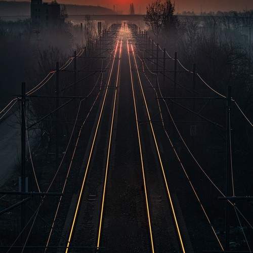 Photo #10539996