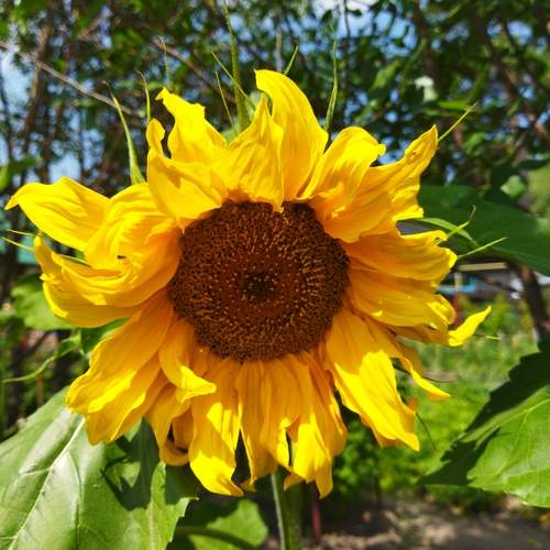 Photo #10540078