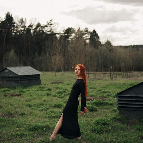 Photo #10540492