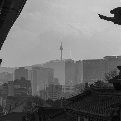 Photo #10540648