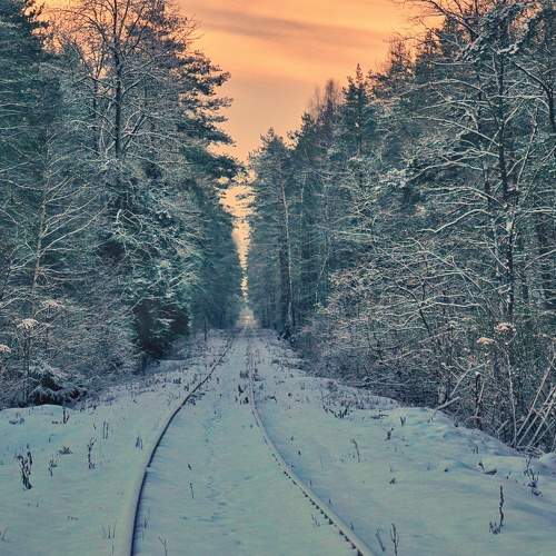 Photo #10540730