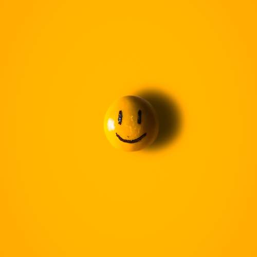 Photo #10540782