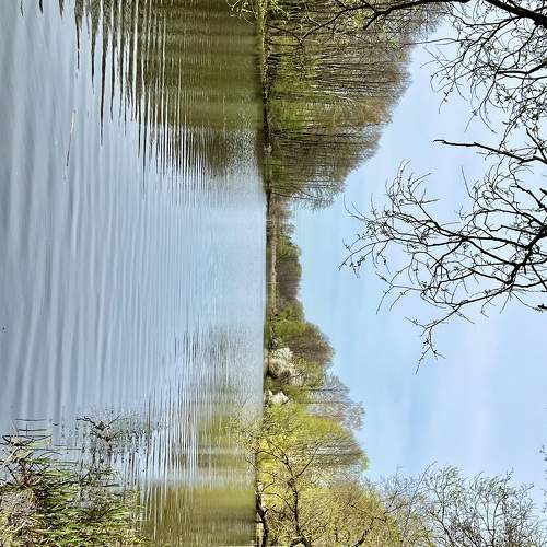 Photo #10540834