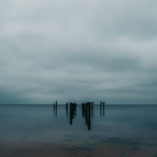 Photo #10540882