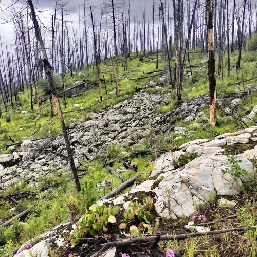 Photo #10541623
