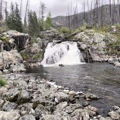 Photo #10541631