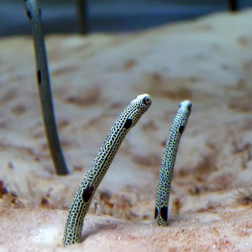 Photo #10541777