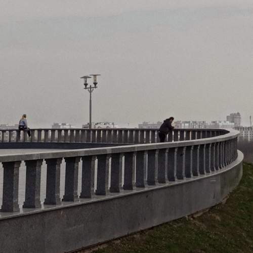 Photo #10542330