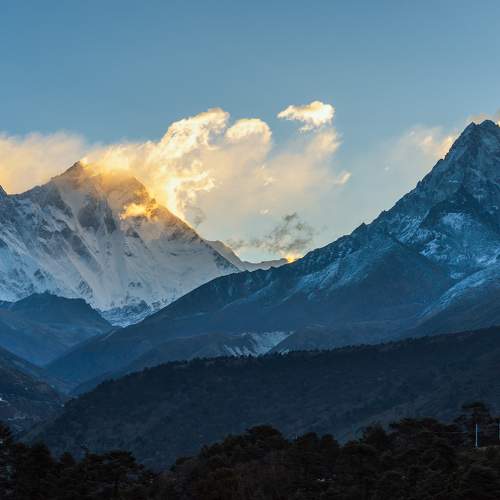 Photo #10542448