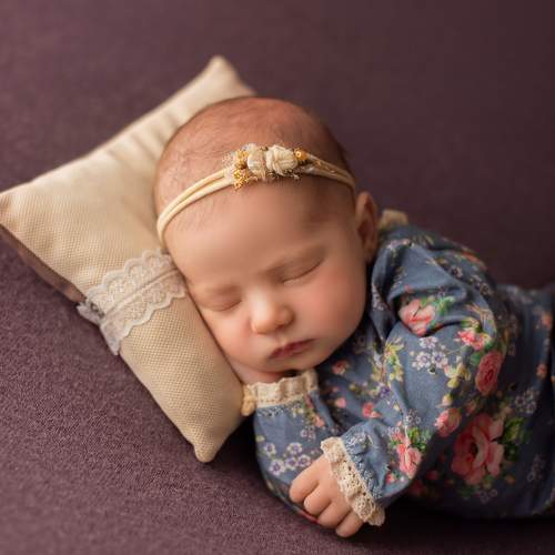 Photo #10542487