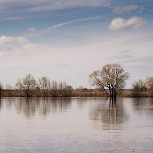 Photo #10542637
