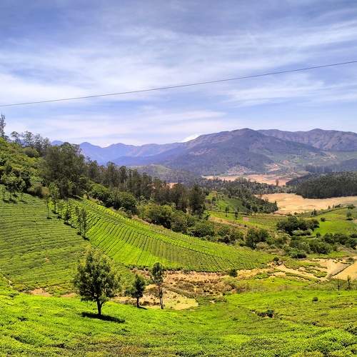 Photo #10543184