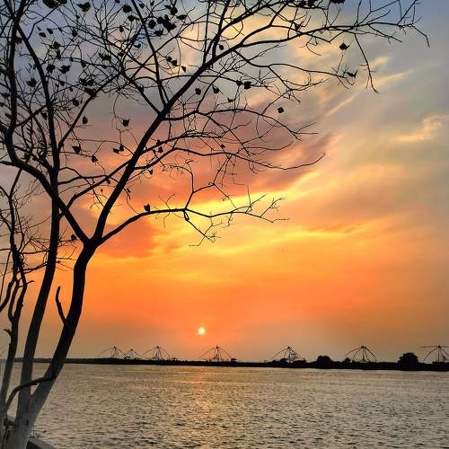 Photo #10543186