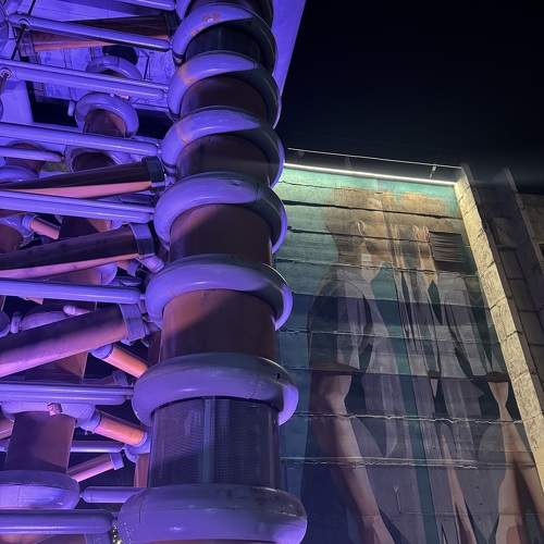 Photo #10543413