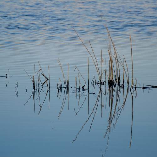 Photo #10543616