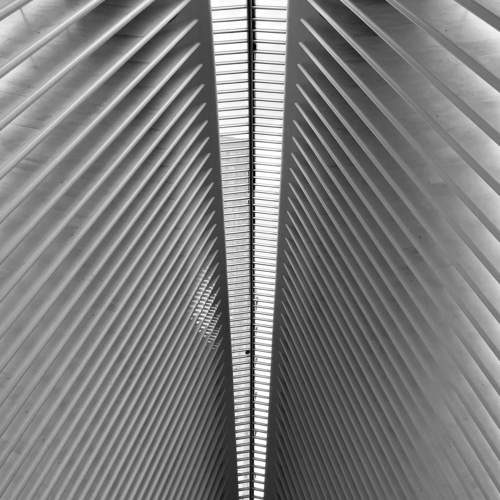 Geometry оf Oculus