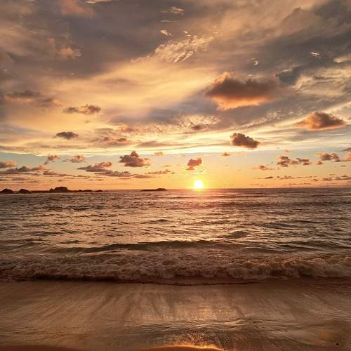 Photo #10544330